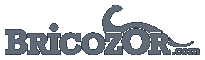 logo bricozor