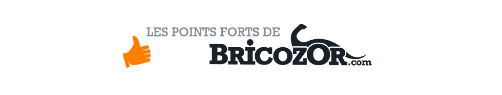 Les points forts de Bricozor